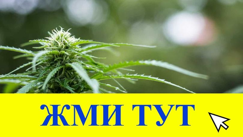 Купить наркотики в Тайшете